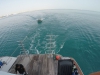 BootAchterkantView 06