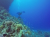 DoriVis 10