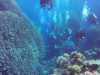 GOPR0026 4