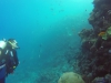 GOPR0112 01