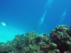 GOPR0157 14