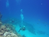 GOPR0161 12