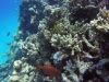 GOPR0162 5