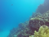 GOPR0165 8