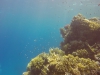 GOPR0169 1