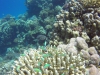 GOPR0170 5