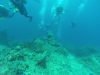 GOPR2958 5