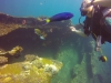 GOPR3078 1