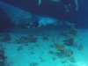 GOPR9808 08