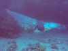 GOPR9808 10