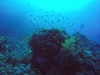 GOPR9906 01
