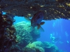 VisLens 10