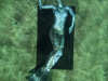 image00002