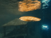 image00003
