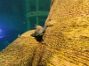 image00005
