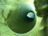 image00016